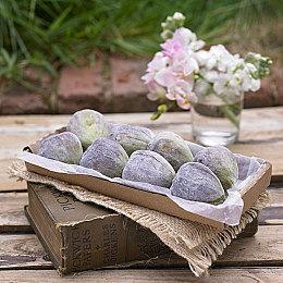 Devolver新作《地牢奇旅》今日首曝：一只泥蟹，教你实现财务自由！